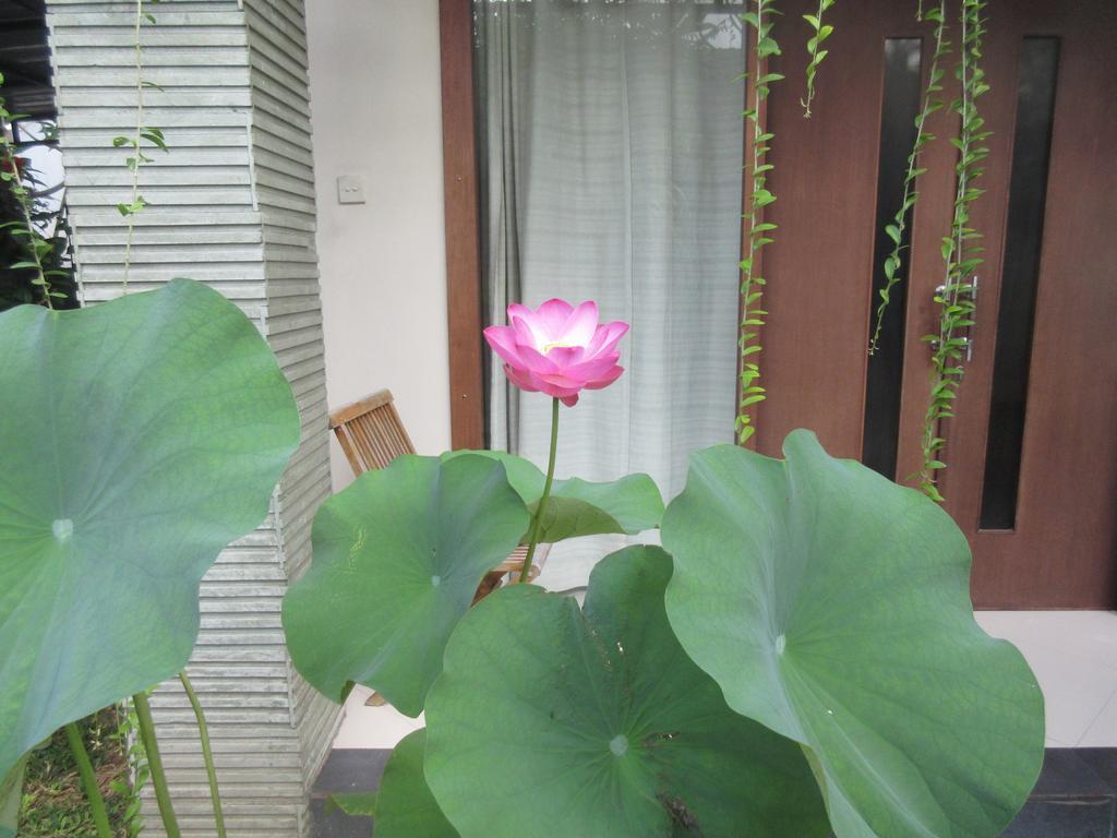 Rika Sanur Homestay מראה חיצוני תמונה